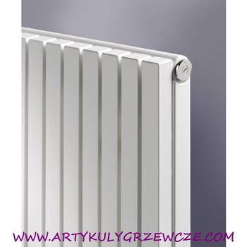 Grzejnik dekoracyjny Vasco CPVN Plus Wys.1800 Carre Pionowy do 2663W