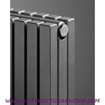 Grzejnik dekoracyjny Vasco CPVN2 Wys.2200 Carre Pionowy do 4131W